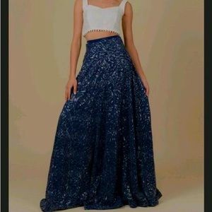 Deep Sea Embroidered Rose Georgette Skirt.